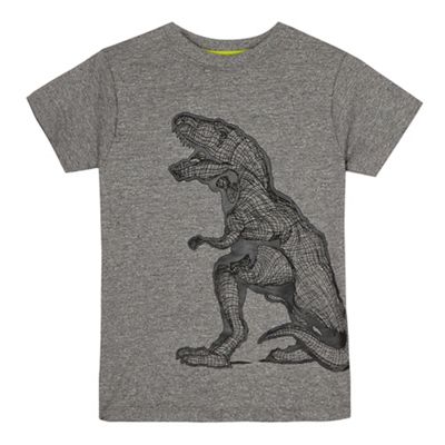 bluezoo Boys' grey textured graphic dinosaur t-shirt